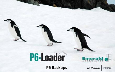 Creating Primavera P6 Backups with P6-Loader - Mini Webinar